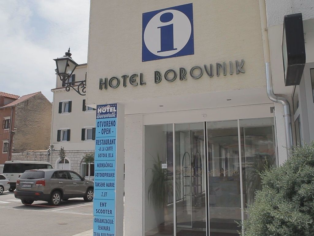 Borovnik