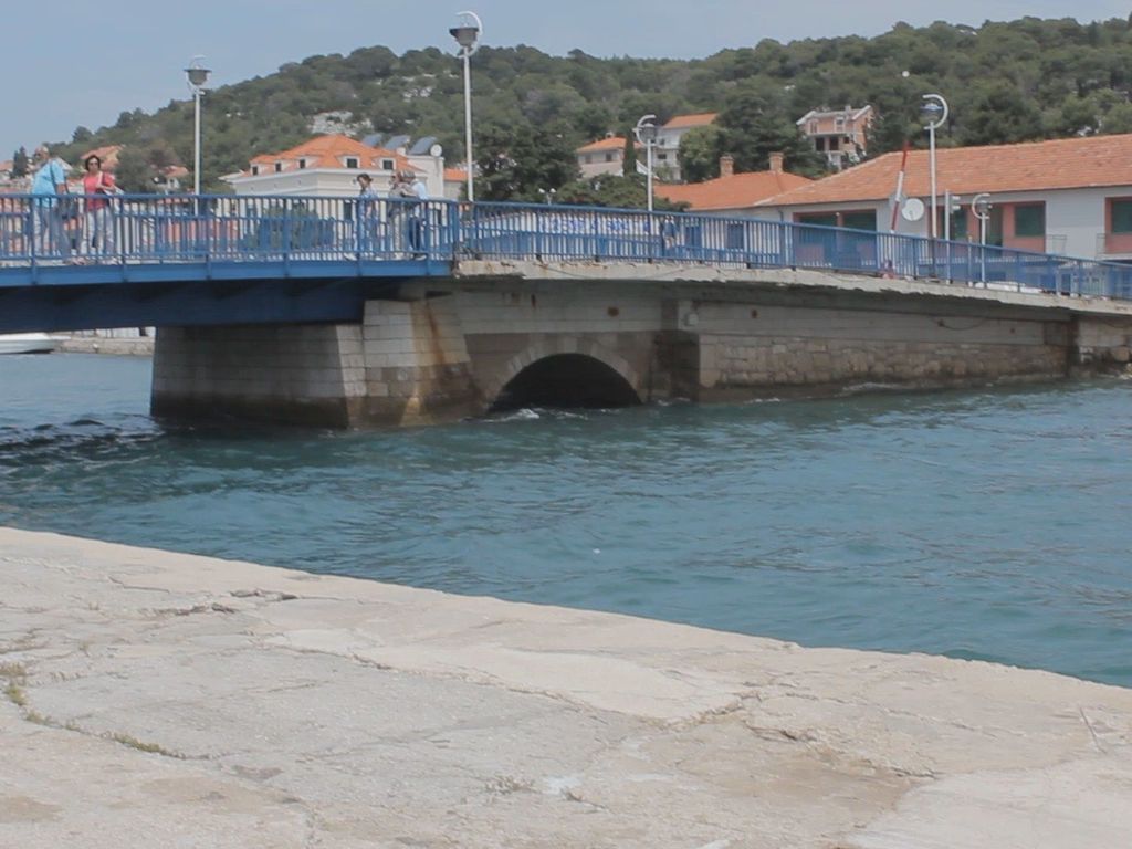 Borovnik