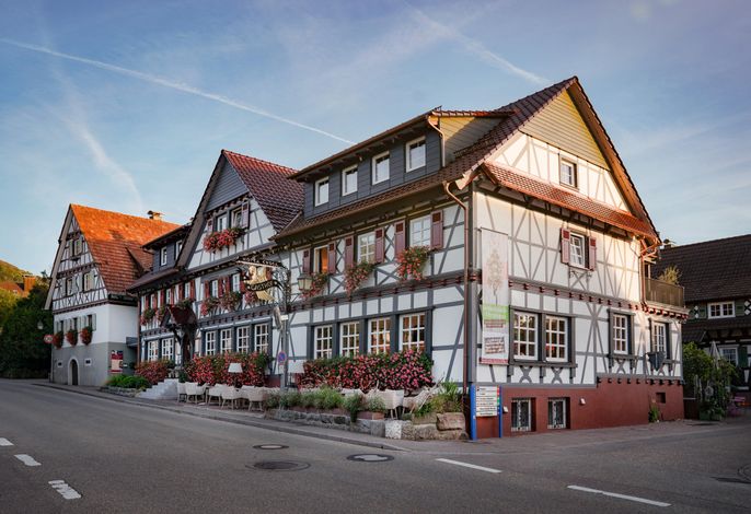Bild 12
