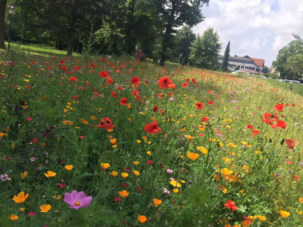 Am Kurpark