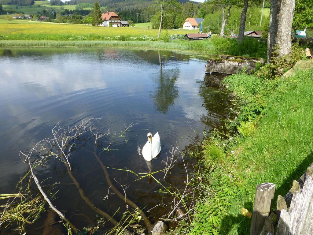 Landgasthaus Backhof-Helmle