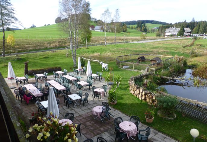 Bild 9