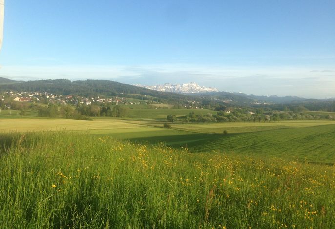 Bild 19