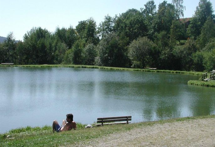 Bild 19
