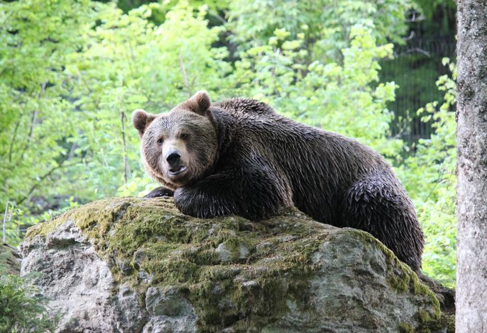 Bild 17