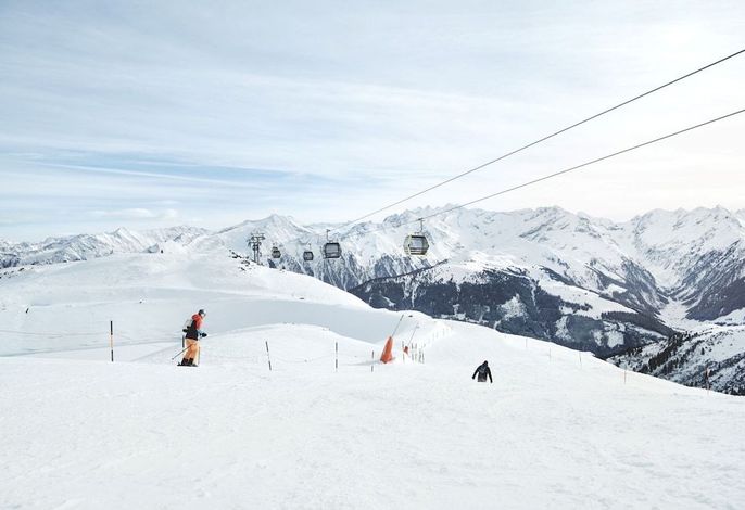 Bild 19