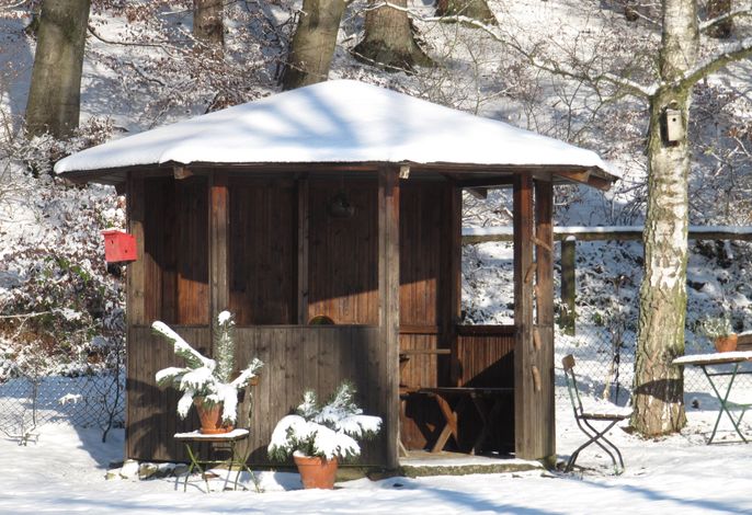 Bild 12