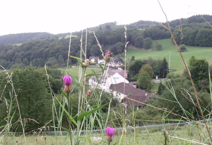 Bild 24