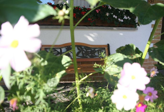 Bild 16