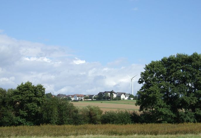 Bild 29