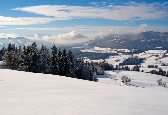 Bild 13