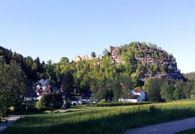 Bild 8