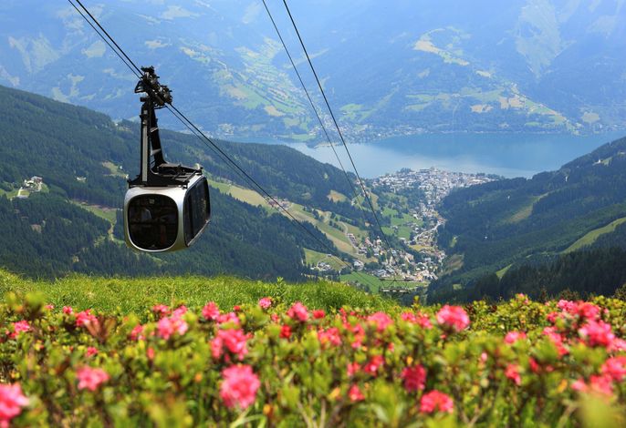 Bild 15