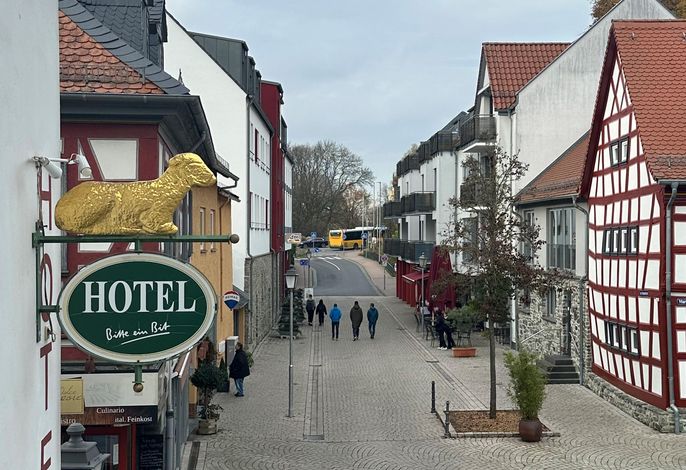 Bild 11