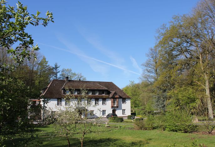 Bild 19