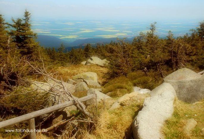 Bild 77