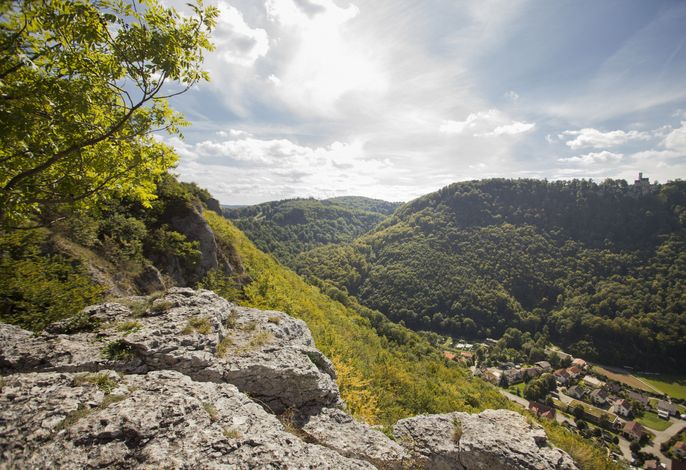 Bild 5