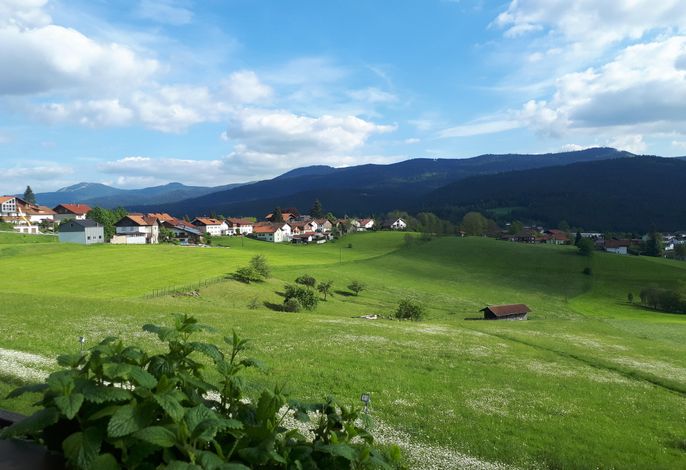 Bild 16