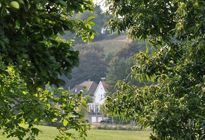 Bild 15
