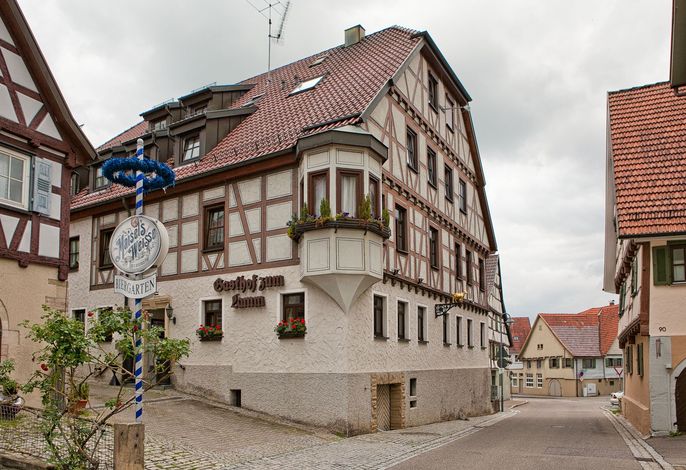 Bild 12