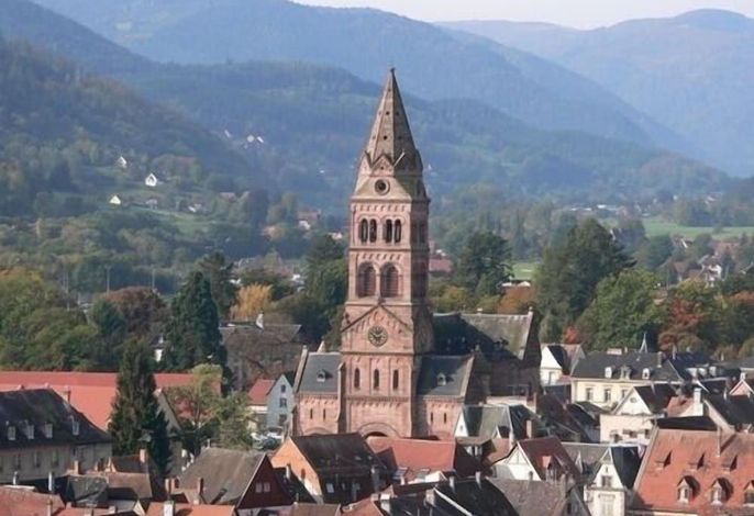Bild 36
