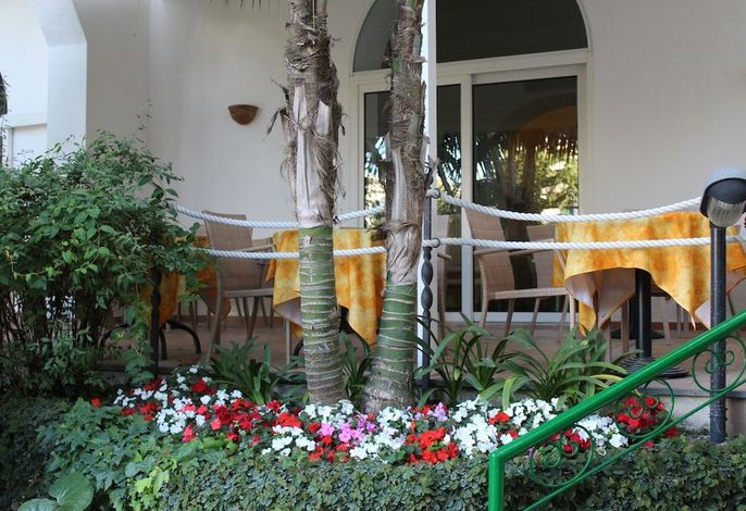 Bild 15