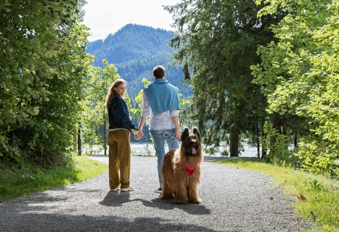 Bild 64
