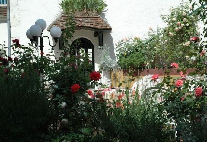 Bild 16
