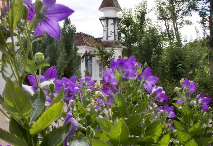 Bild 10