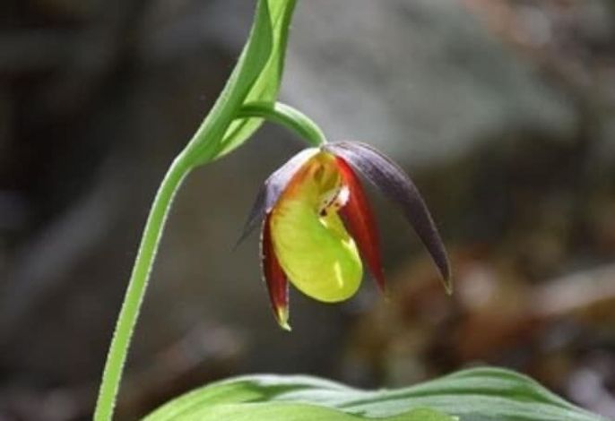 Bild 17