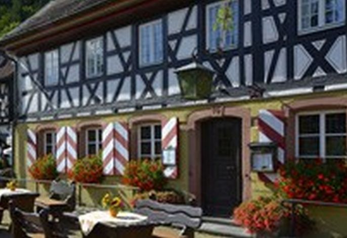 Bild 17