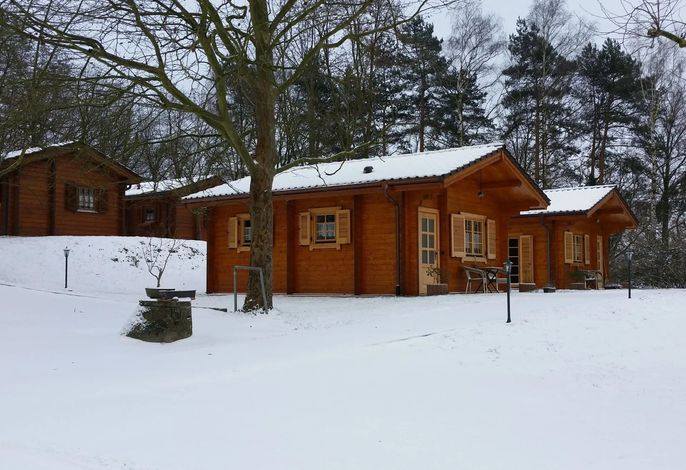 Bild 19