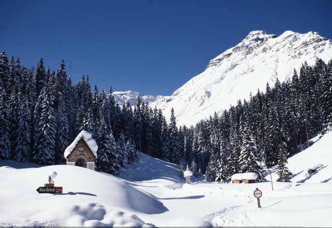 Bild 11