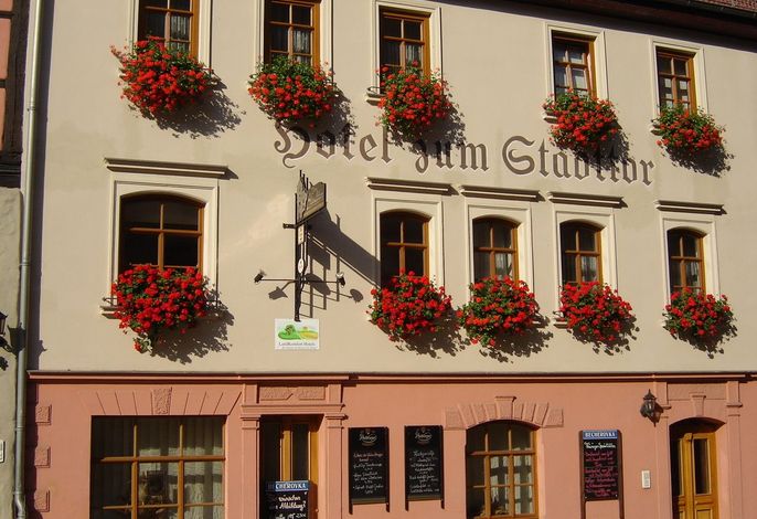 Bild 10