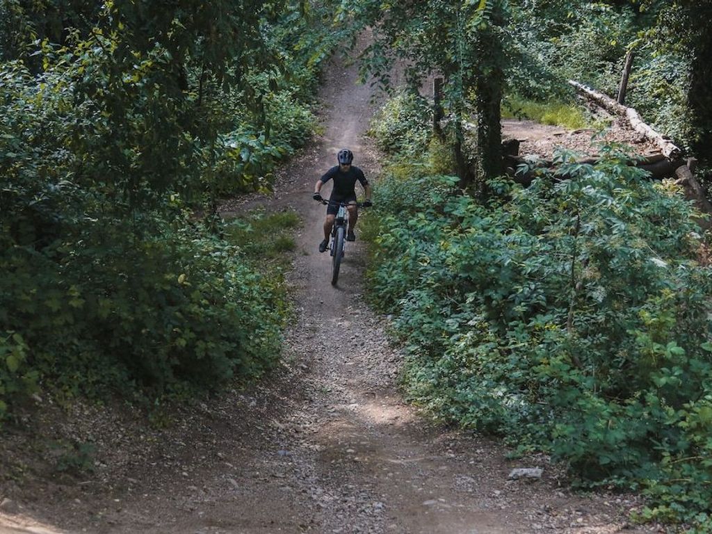 Del Riale