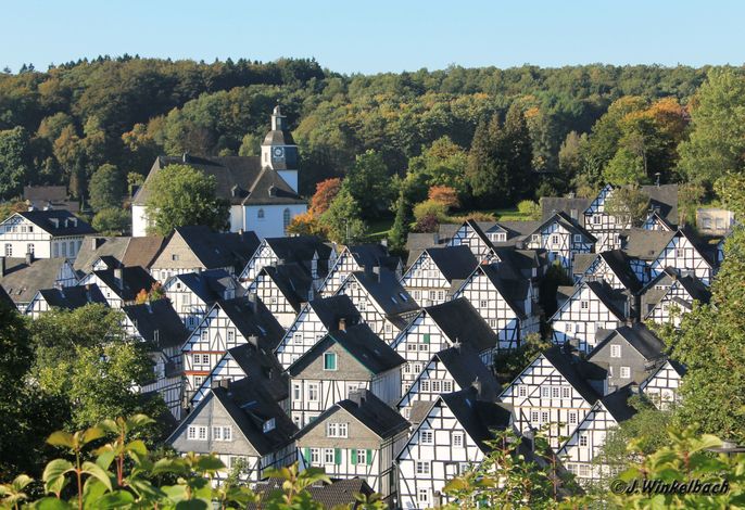 Bild 14