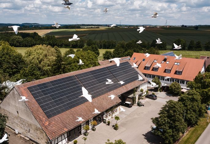 Bild 17
