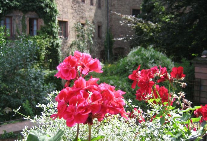 Bild 19