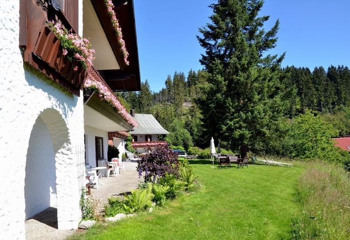 Bild 9