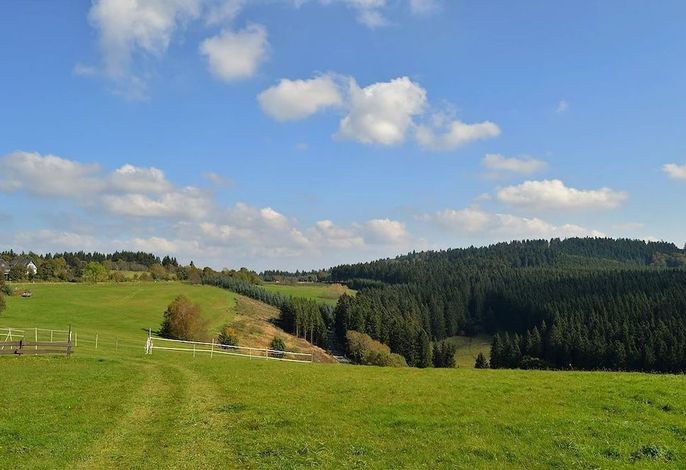 Bild 16