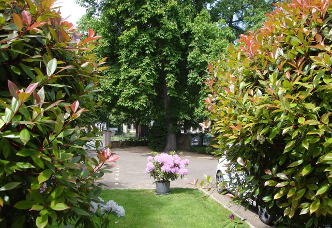 Bild 11