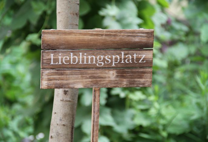 Bild 49