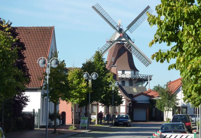 Bild 69