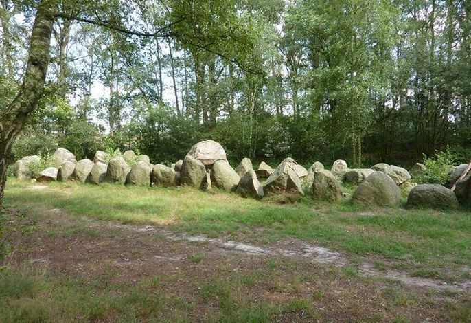 Bild 62