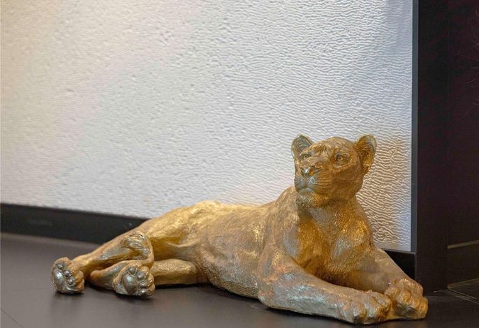 Bild 51