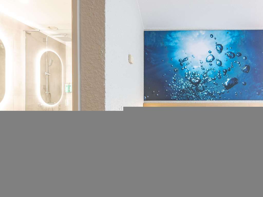 Novotel Grenoble Nord Voreppe