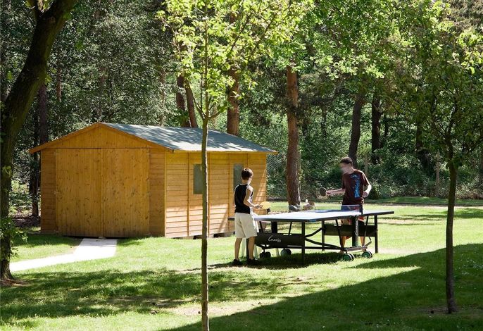 Bild 18