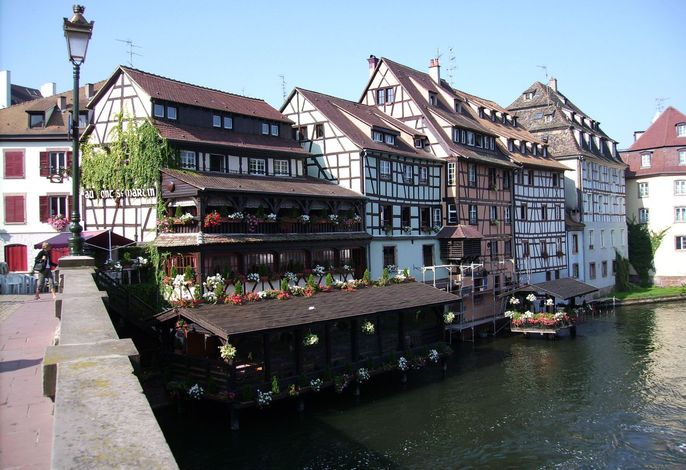 Bild 33