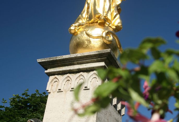 Bild 8