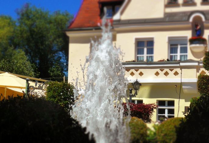 Bild 64